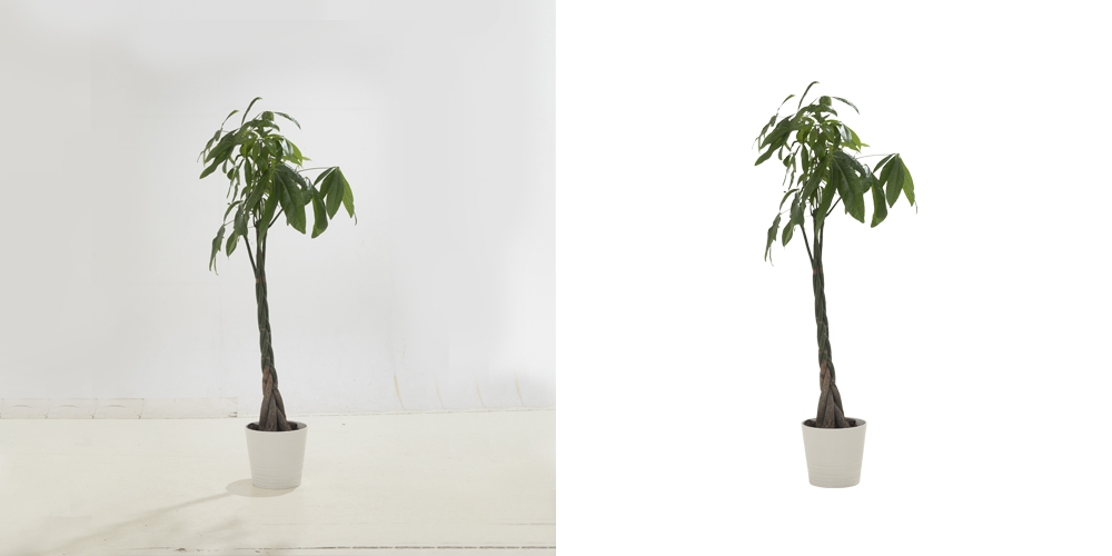 Image Masking Service